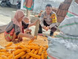 Polri Dampingi Petani Panen Jagung di Lombok Barat