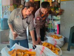 Bhabinkamtibmas Dampingi Panen Jagung di Lombok Barat