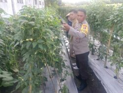 Sinergi Polri-Dinas Pertanian: Kunci Peningkatan SDM Petani Lombok Barat