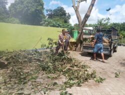 Perkuat Sinergi, Bhabinkamtibmas dan Staf Desa Berora Gelar Gotong Royong