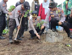 Safari Sumbawa Menanam: Forkopimda dan Warga Bersatu Hijaukan Hutan Lindung Bendungan Beringin Sila