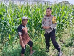 Polsek Labuapi Kawal Ketahanan Pangan di Bagik Polak