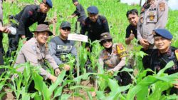 Perkuat Ekologi dan Ekonomi, Forkopimda Sumbawa Tanam Ribuan Bibit Kemiri di Lenangguar