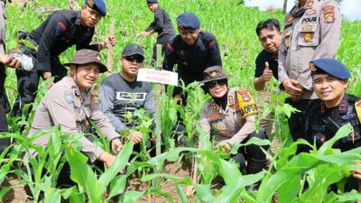 Perkuat Ekologi dan Ekonomi, Forkopimda Sumbawa Tanam Ribuan Bibit Kemiri di Lenangguar