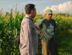 Bhabinkamtibmas Edukasi Warga Telagawaru Tanam Pangan Mandiri