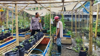 Polisi di Lombok Barat Sulap Pekarangan Warga Jadi Sumber Pangan