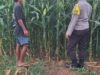 Dukung Program Nasional, Polsek Kempo Lakukan Pemantauan Lahan Jagung Warga
