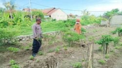 Aksi Nyata Polres Lombok Barat Sukseskan Program Ketahanan Pangan